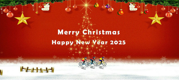 Merry Christmas and Happy New Year 2025!