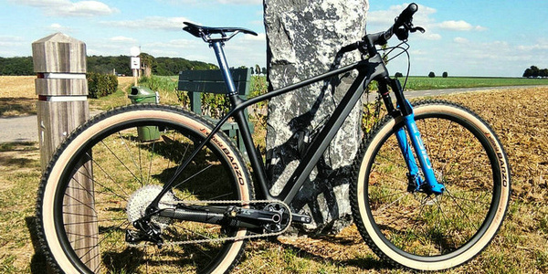 Il montaggio finale: 9,6 kg con pedali e tutto, mountain bike
